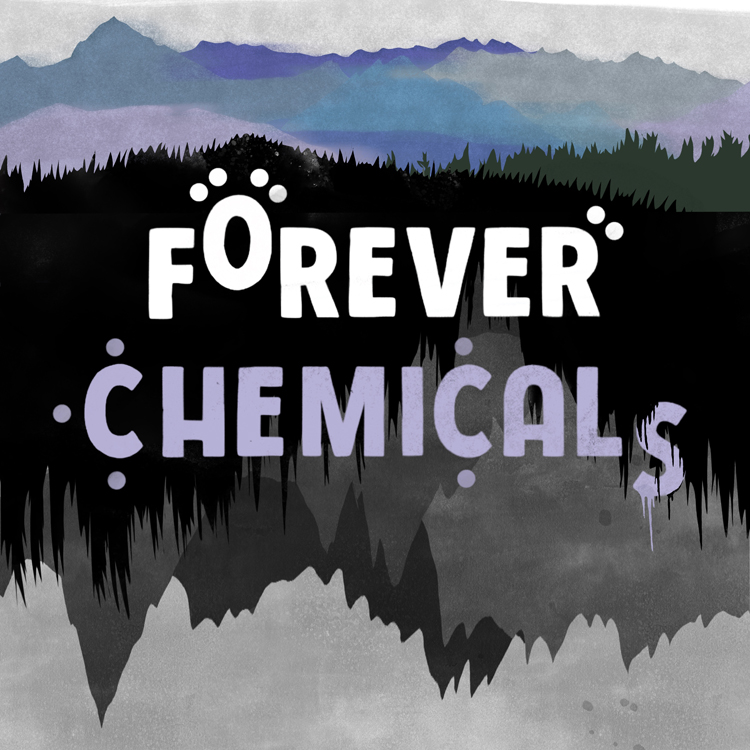 Understanding “Forever Chemicals” and Their Risks